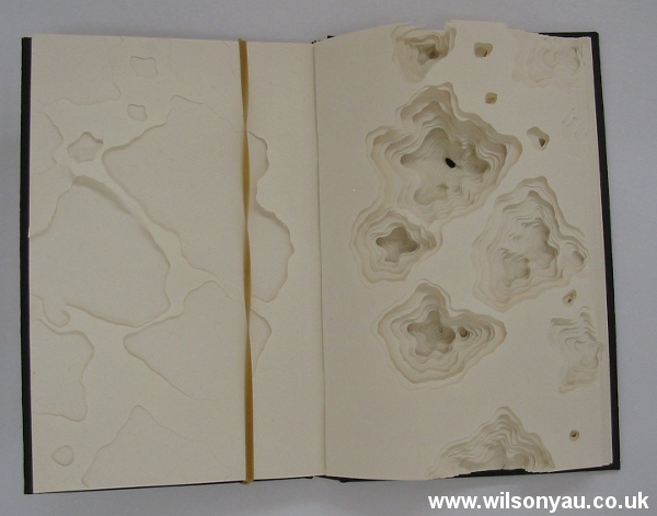 A book with contours, by Wilson Yau, 2008