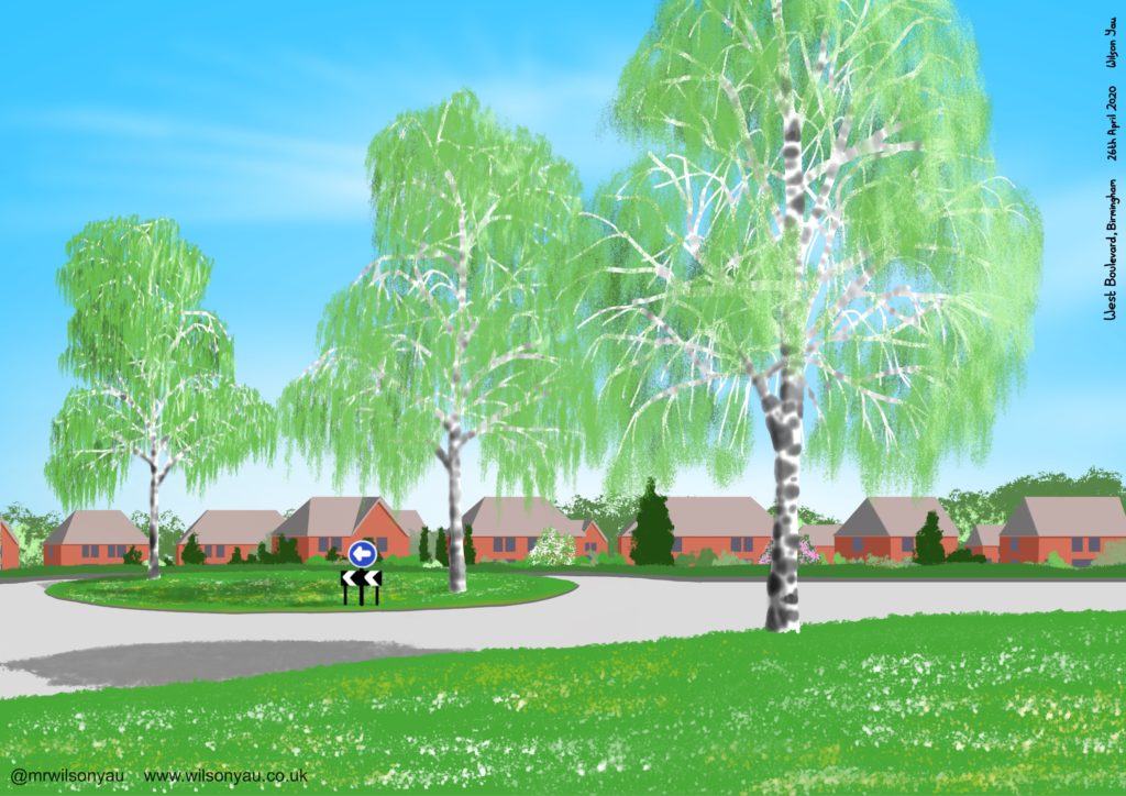 Drawing of Birch trees, West Boulevard, Birmingham