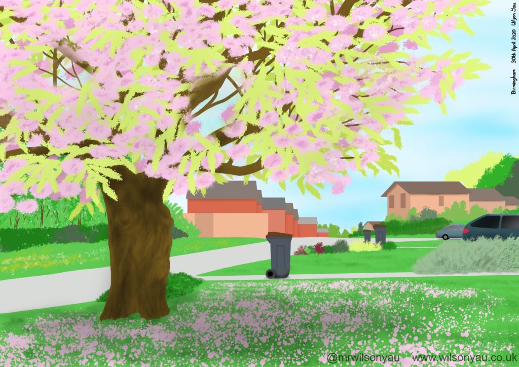 Drawing of Cherry tree