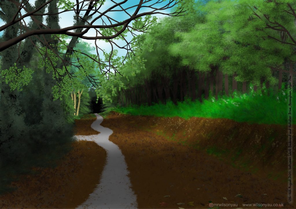 ipad drawing of wooded path